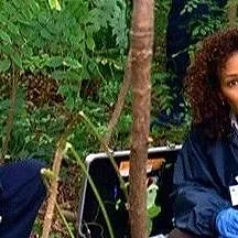 New York Unité Spéciale