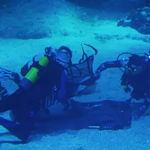 Nausicaá : Dans les coulisses du plus grand aquarium d'Europe