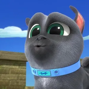 Le monde de Bingo et Rolly