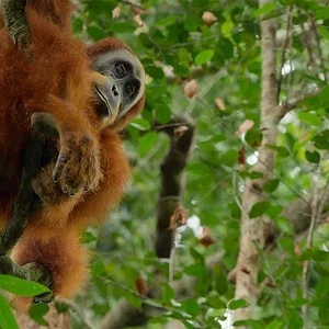 Parcs nationaux : Ces merveilles du monde