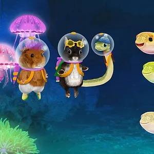 Les Wonder Choux dans la grande ville