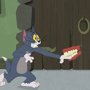 Tom et Jerry Show