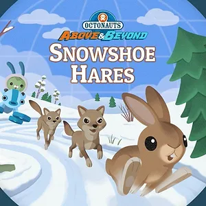 Les Octonauts : Mission Terre