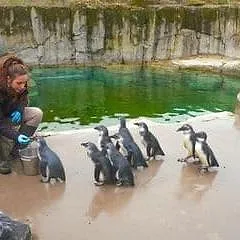 Expédition Pairi Daiza