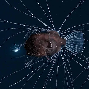 Notre planète