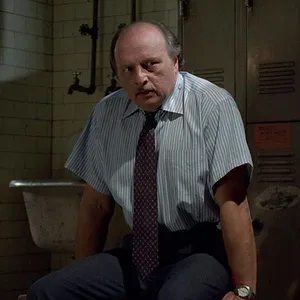 New York Police Blues