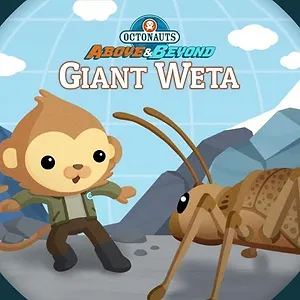 Les Octonauts : Mission Terre