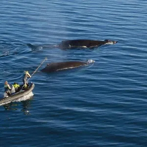 Europa: le meraviglie dall'alto