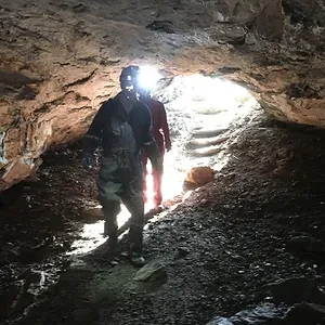 Étrange, mais vrai !