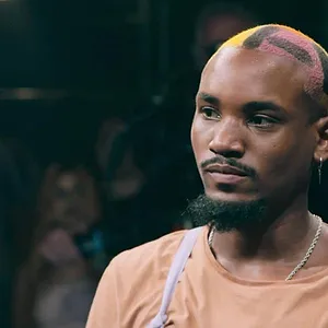 Nouvelle École : Brésil