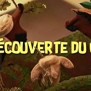L'Histoire racontée par des chaussettes