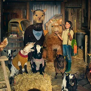 La Petite Ferme enchantée