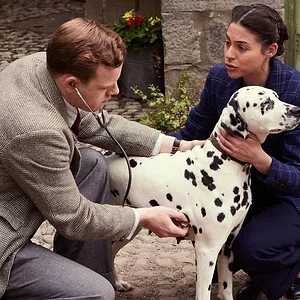James Herriot, chroniques d'un jeune vétérinaire