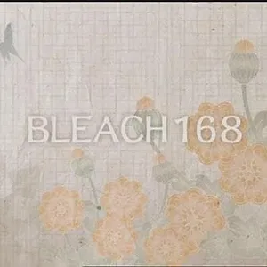 Bleach
