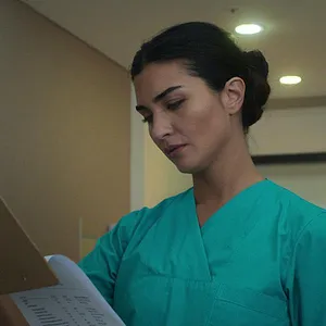 Le Chemin de l'olivier