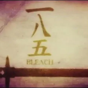 Bleach