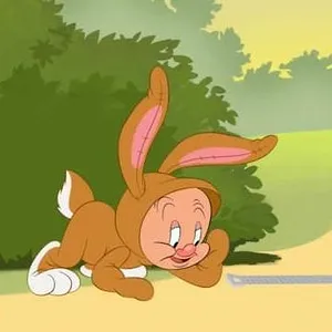 Looney Tunes Cartoons