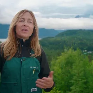 Michelle ou la vie sauvage