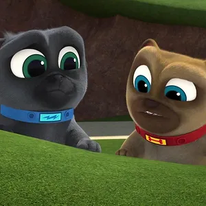 Le monde de Bingo et Rolly