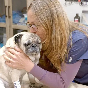 Michelle ou la vie sauvage