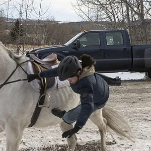 Heartland