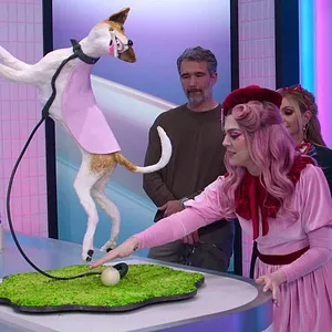 Sugar Rush : México, top chrono !