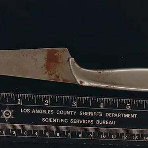 Le Traqueur de la nuit : Chasse à l'homme en Californie