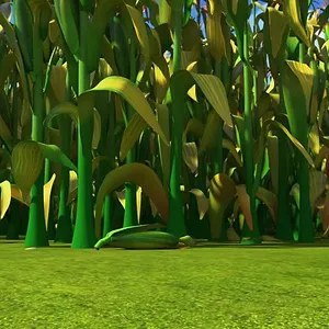 Le monde de Bingo et Rolly