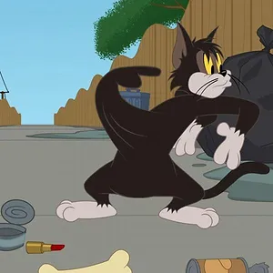Tom et Jerry Show