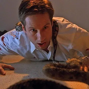 X-Files : Aux frontières du réel