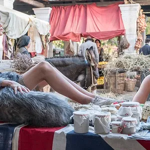 La folle aventure des Durrell