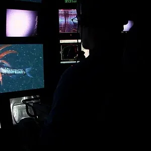 Die Ozeane - Geheimnisse der Weltmeere