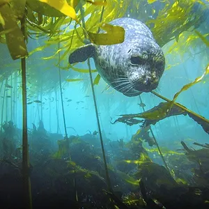 America's National Parks