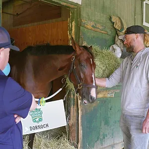 Race For The Crown : La gloire au galop