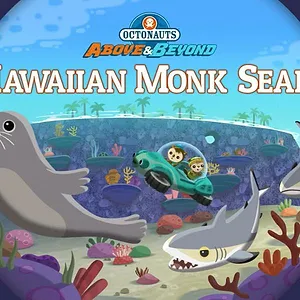 Les Octonauts : Mission Terre