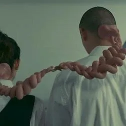 The School Nurse Files
