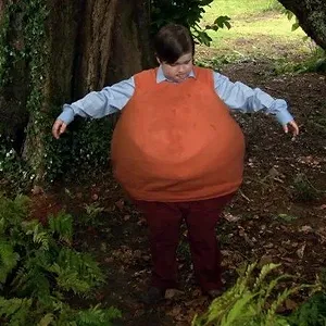 Les Chroniques d'Evermoor