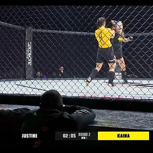 MMA Academy