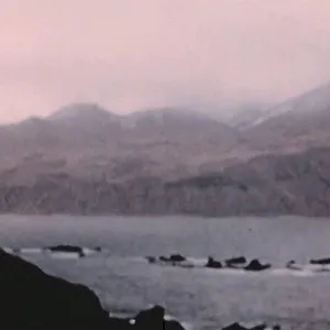 Five Came Back - The Reference Films