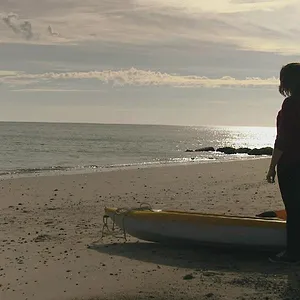 When Sharks attack...