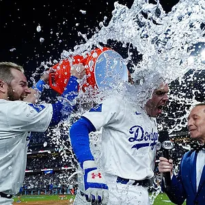 Fight for Glory: 2024 World Series