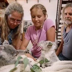 Izzy et les koalas