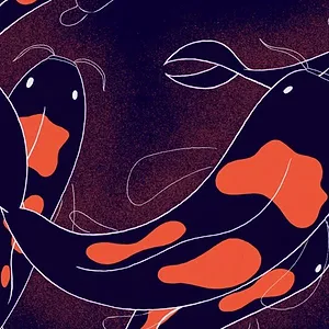 Le guide Headspace du sommeil