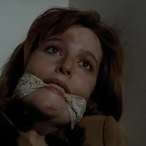 X-Files : Aux frontières du réel