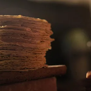 Omnivores : Le parcours de l’alimentation