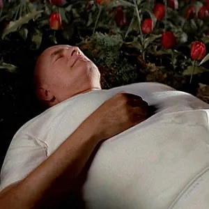 X-Files : Aux frontières du réel