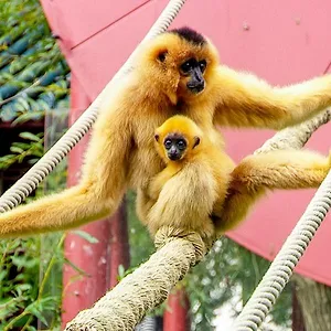 Expédition Pairi Daiza