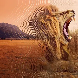 Le Monde secret du son avec David Attenborough