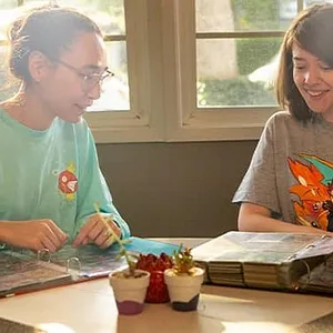 Pokémon : Circuit Dresseur