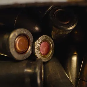 Le Traqueur de la nuit : Chasse à l'homme en Californie
